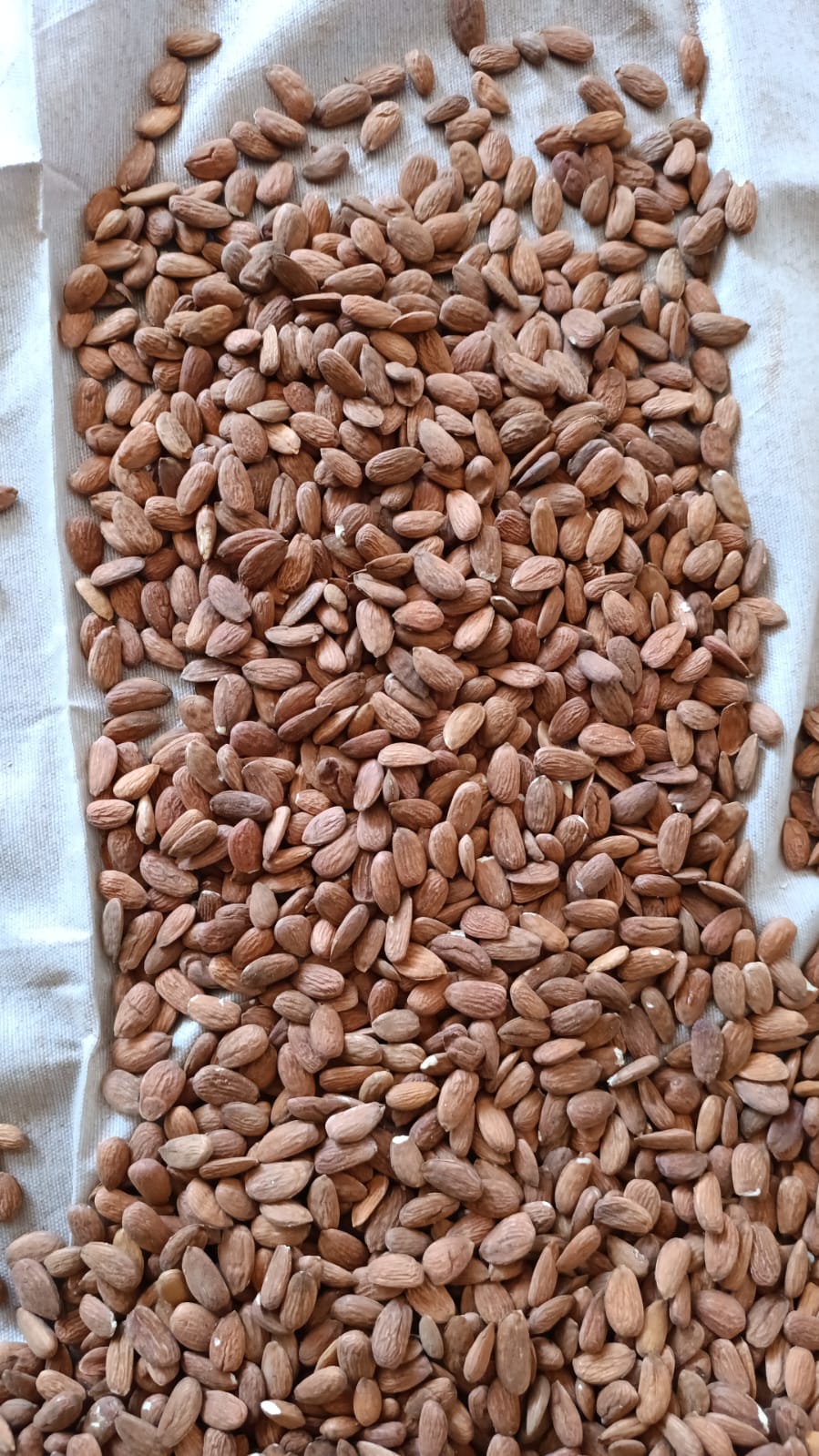 Yunus Bademcilik & Makina